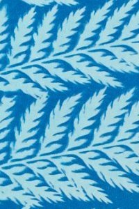 Capturing the Blues: An Introduction to Cyanotype Printing